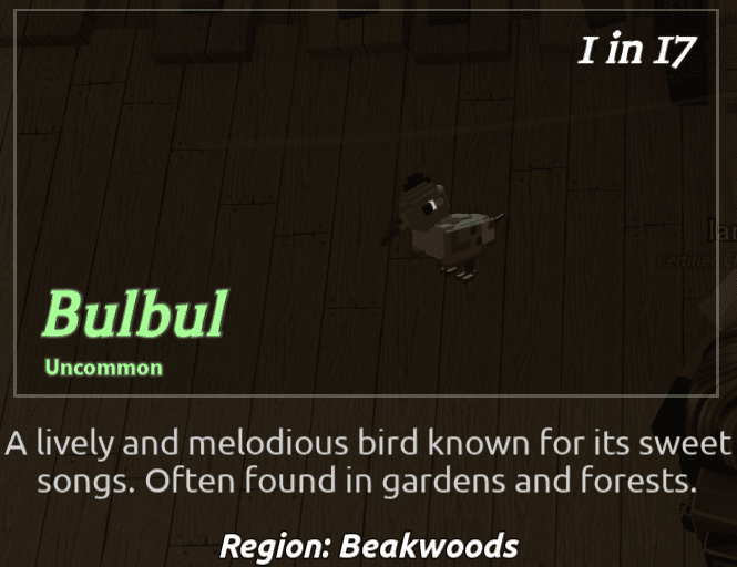 Beaks Bird - Bulbul