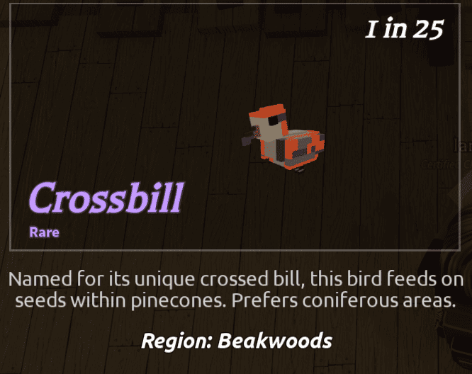 Beaks Bird - Crossbill