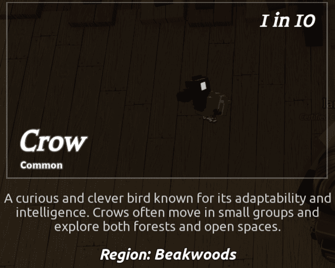 Crow