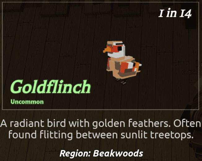 Beaks Bird - Goldflinch