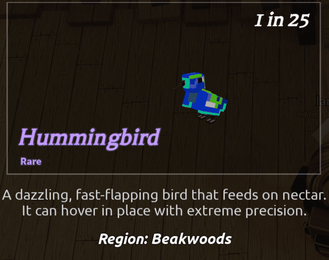 Beaks Bird - Hummingbird