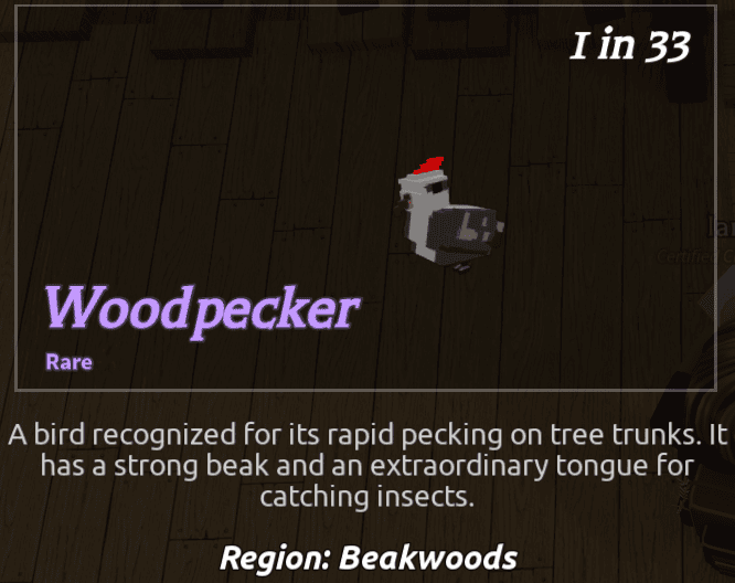 Beaks Bird - Woodpecker