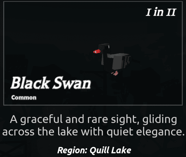 Beaks Bird - BlackSwan