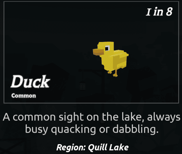 Beaks Bird - Duck