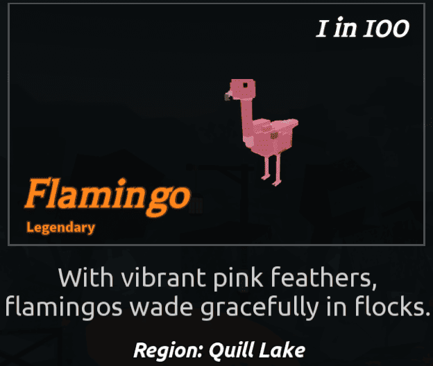 Beaks Bird - Flamingo