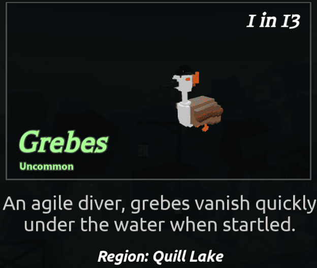 Beaks Bird - Grebes