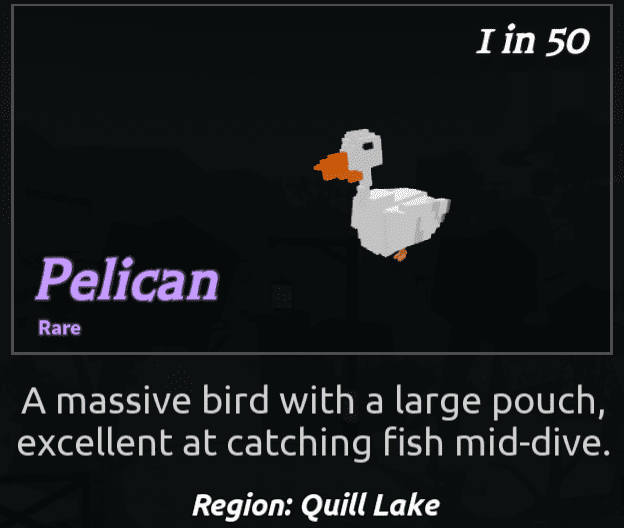 Beaks Bird - Pelican