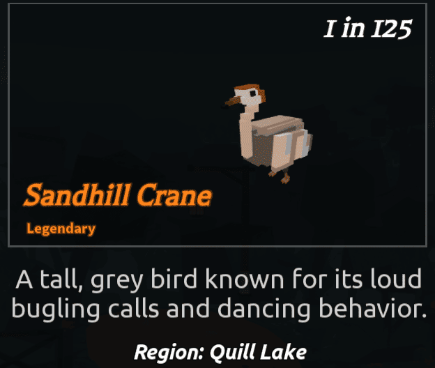 Beaks Bird - SandhillCrane