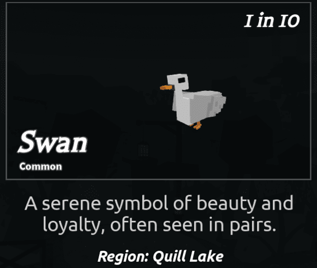Beaks Bird - Swan